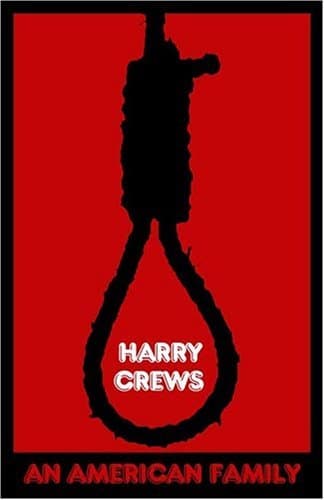 An American Family: The Baby with the Curious Markings book cover