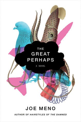 The Great Perhaps book cover