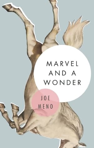Marvel and a Wonder book cover