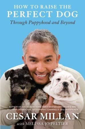 How to Raise the Perfect Dog: Through Puppyhood and Beyond book cover