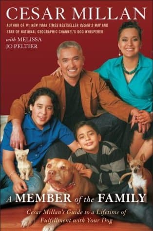 A Member of the Family book cover