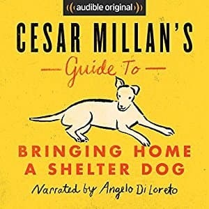 Cesar Millan's Guide to Bringing Home a Shelter Dog book cover