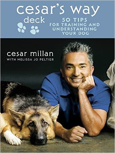 Cesar's Way Deck: 50 Tips for Training and Understanding Your Dog book cover