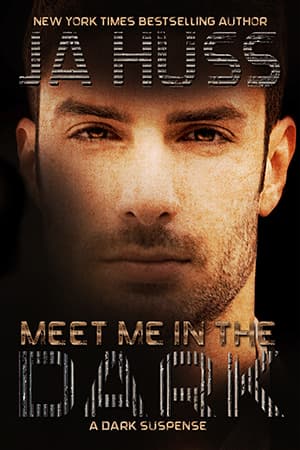 Meet Me in the Dark book cover