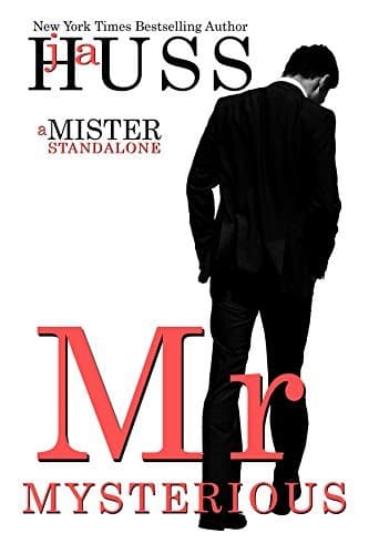 Mr. Mysterious book cover