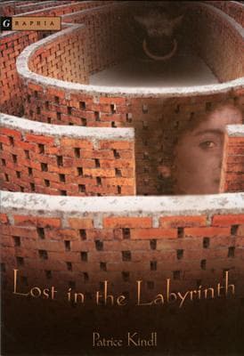 Lost in the Labyrinth book cover