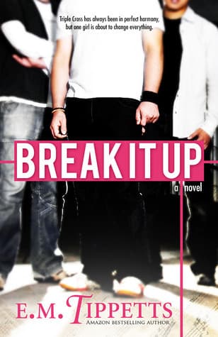 Break It Up book cover