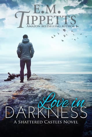 Love in Darkness book cover