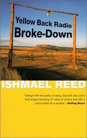 Yellow Back Radio Broke-Down book cover