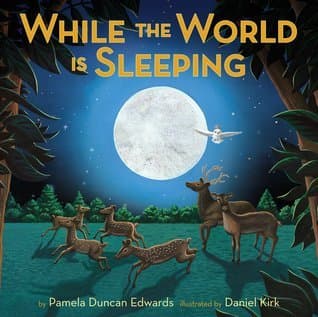 While The World Is Sleeping book cover