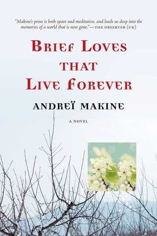 Brief Loves That Live Forever book cover