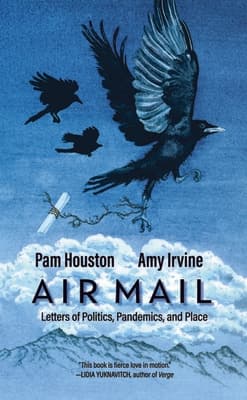 Air Mail: Letters of Politics, Pandemics and Place book cover