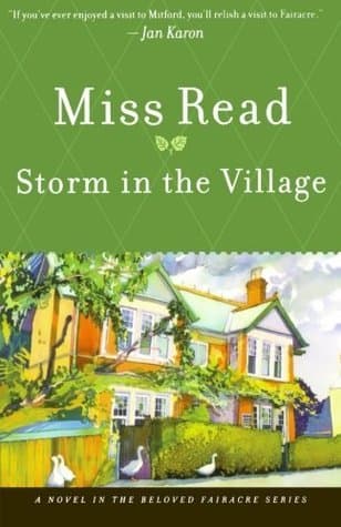 Storm in the Village book cover