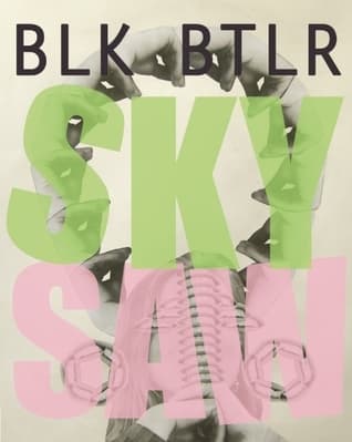 Sky Saw book cover