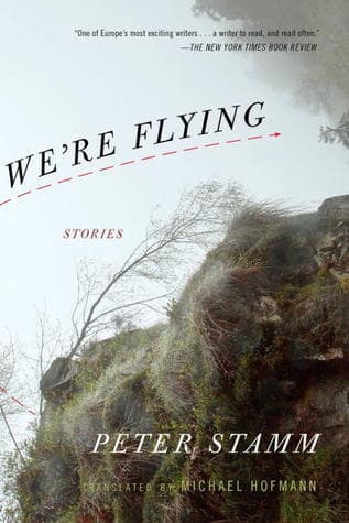We're Flying: Stories book cover