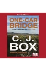 One-Car Bridge book cover