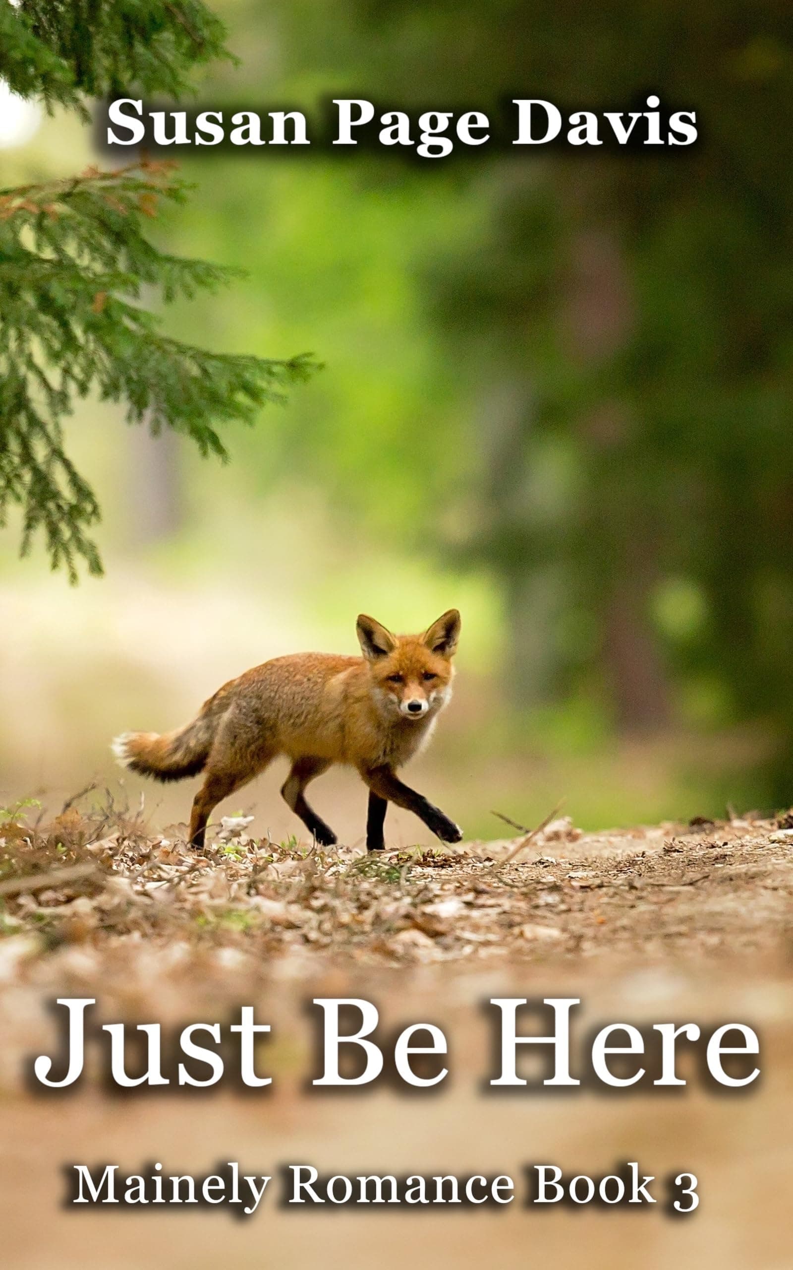 Just Be Here book cover
