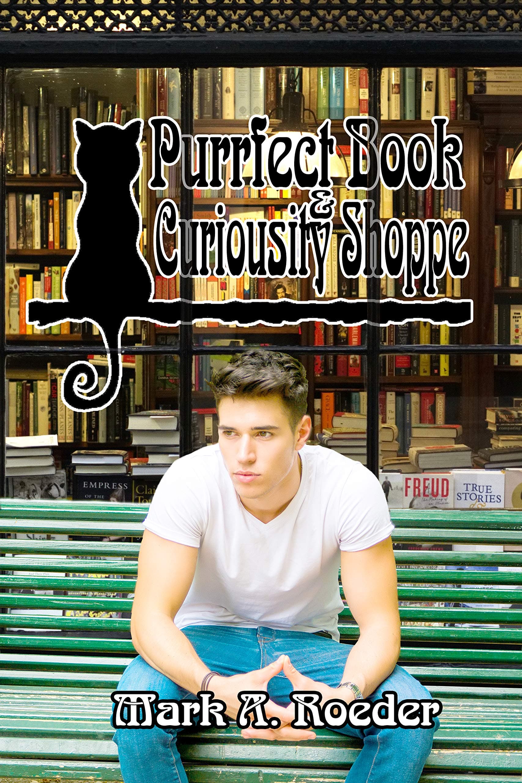 The Purrfect Book and Curiosity Shoppe book cover