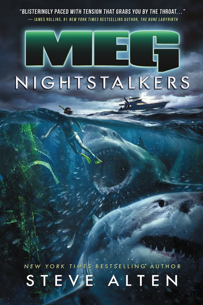 Nightstalkers book cover