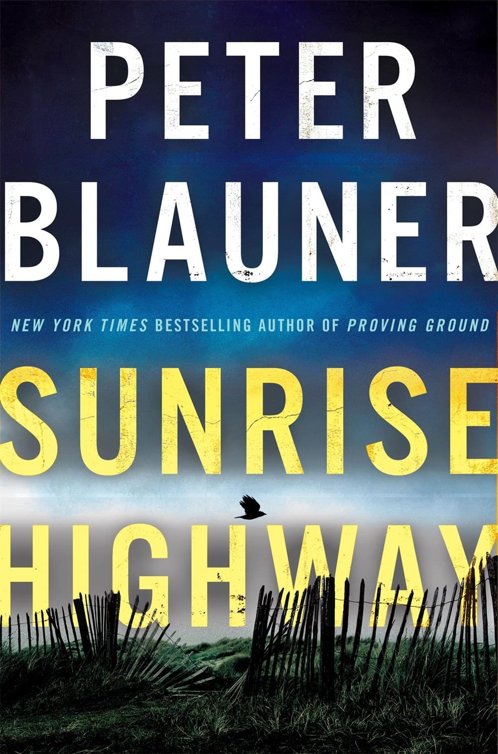 Sunrise Highway book cover