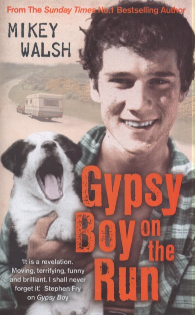 Gypsy Boy on the Run book cover
