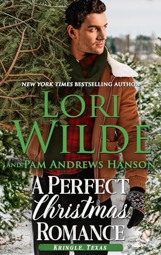 A Perfect Christmas Romance book cover