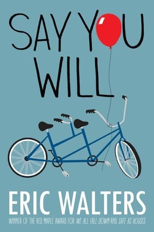 Say You Will book cover