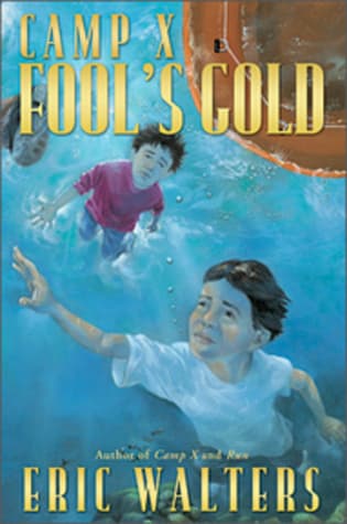 Fool's Gold book cover