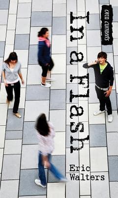 In a Flash book cover