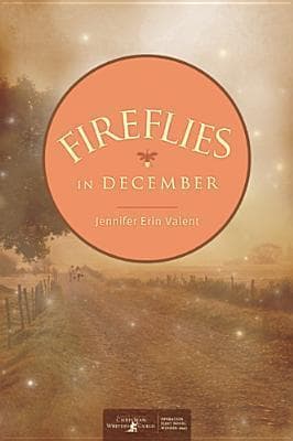 Fireflies in December book cover