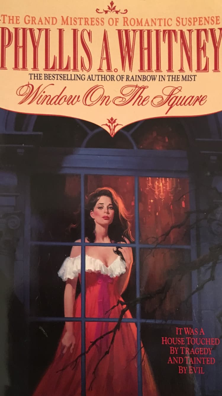 Window on the Square book cover