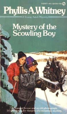 Mystery of the Scowling Boy book cover