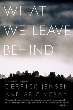 What We Leave Behind book cover