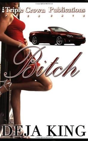 Bitch book cover