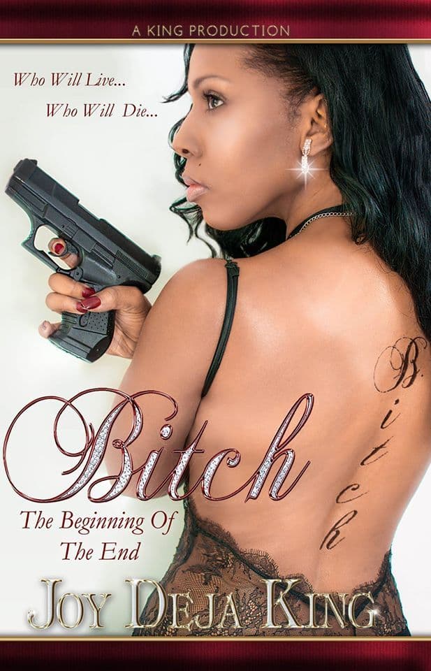 Bitch The Beginning Of The End book cover