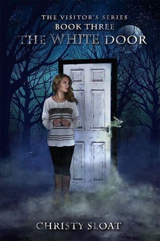 The White Door book cover