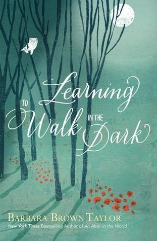 Learning to Walk in the Dark book cover