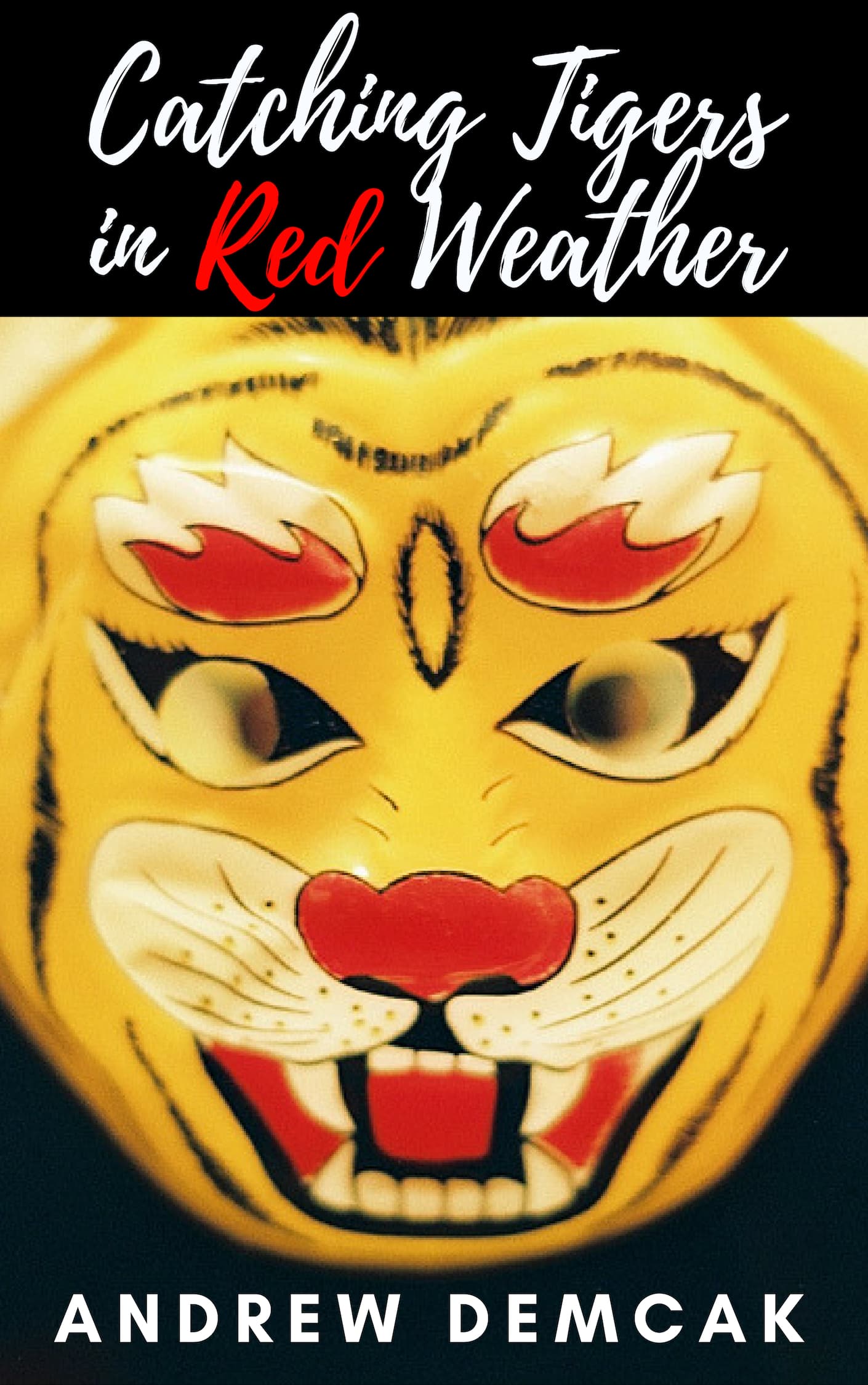 Catching Tigers in Red Weather book cover