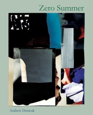 Zero Summer book cover