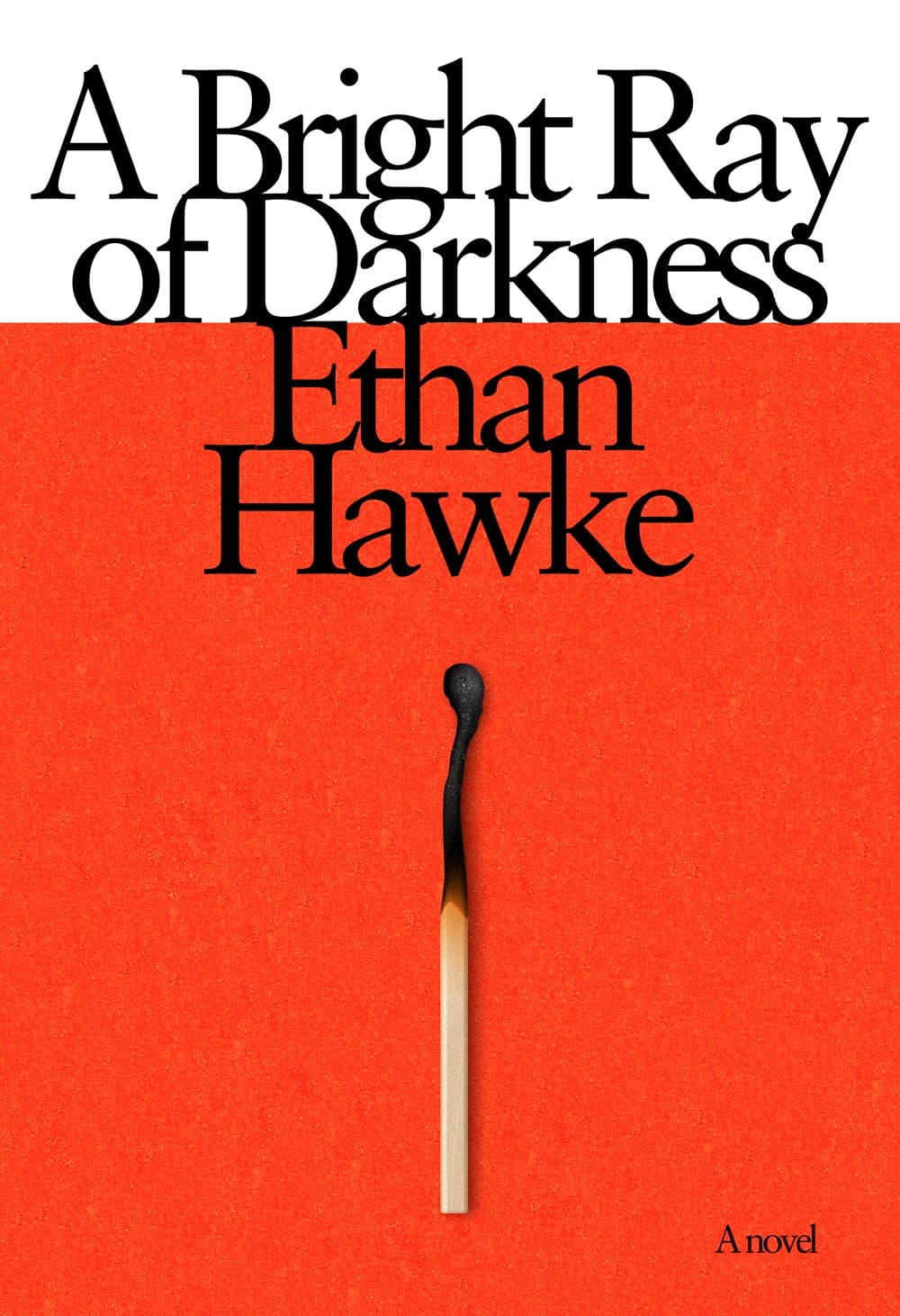 A Bright Ray of Darkness book cover