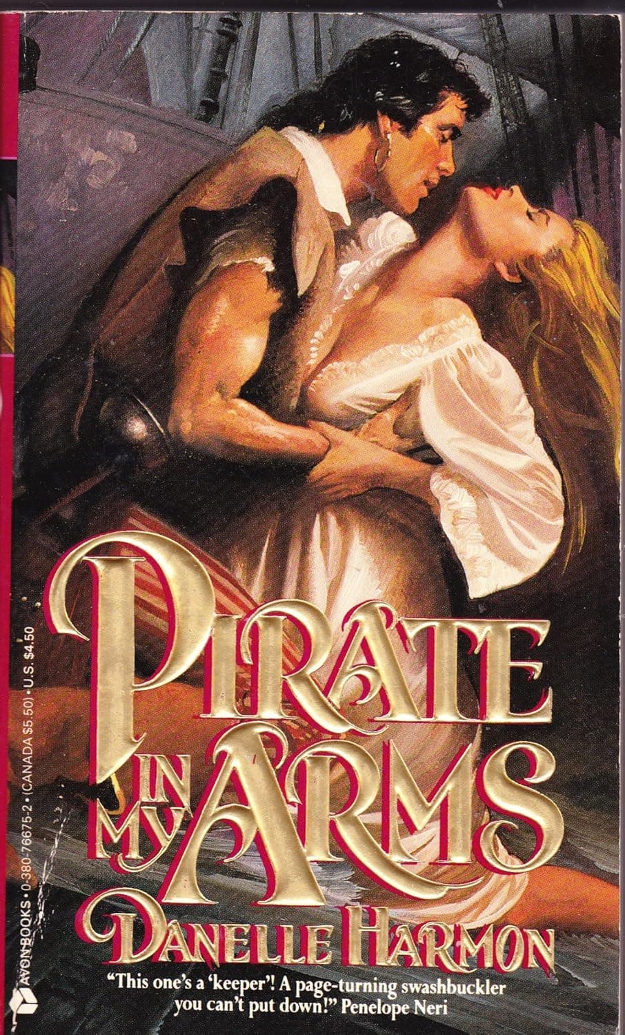 Pirate in My Arms book cover