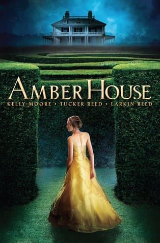 Amber House book cover