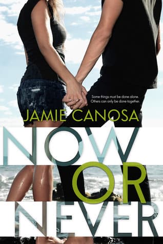 Now or Never book cover