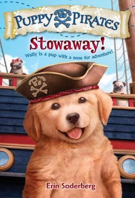 Stowaway! book cover