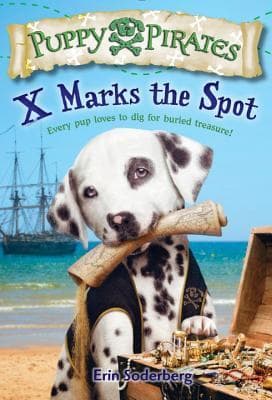 X Marks the Spot book cover