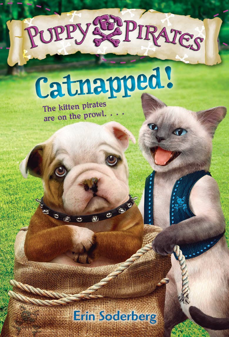 Catnapped! book cover