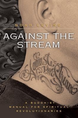 Against the Stream: A Buddhist Manual for Spiritual Revolutionaries book cover