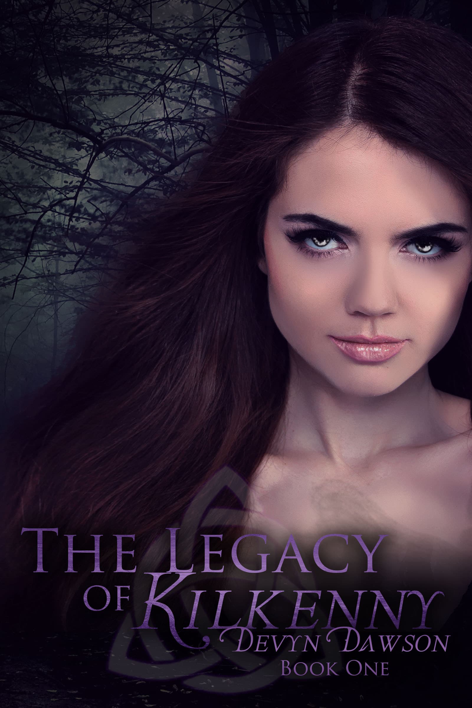 The Legacy of Kilkenny book cover