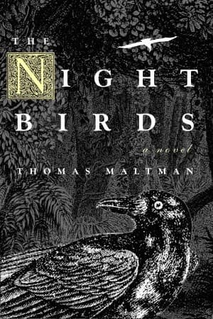 The Night Birds book cover