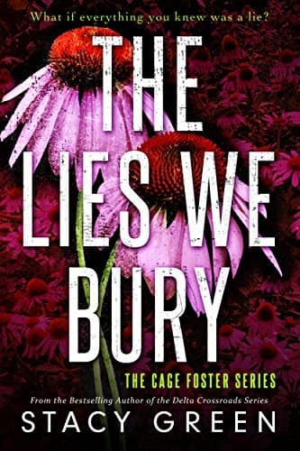 The Lies We Bury book cover